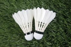 开云平台-泰国羽毛球队完胜丹麦羽毛球队，安赛龙制霸全场