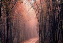 开云官网-日本乒乓球队逆转英国奇迹，水谷隼的助攻成为胜负转折点